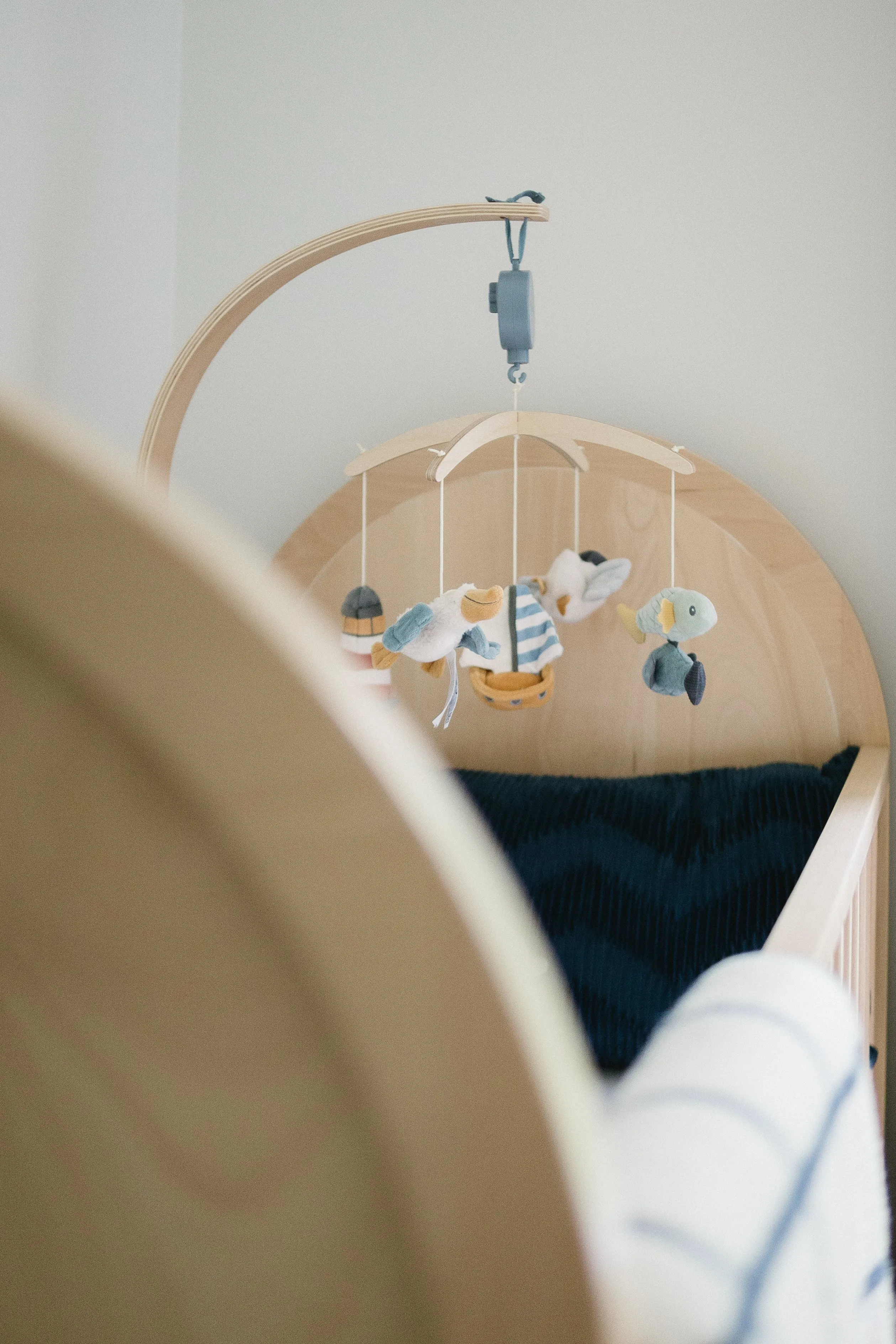 Bold Cot