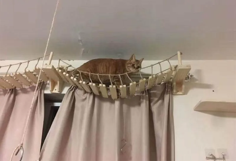 Nancy Sway Wooden Rope Bridge