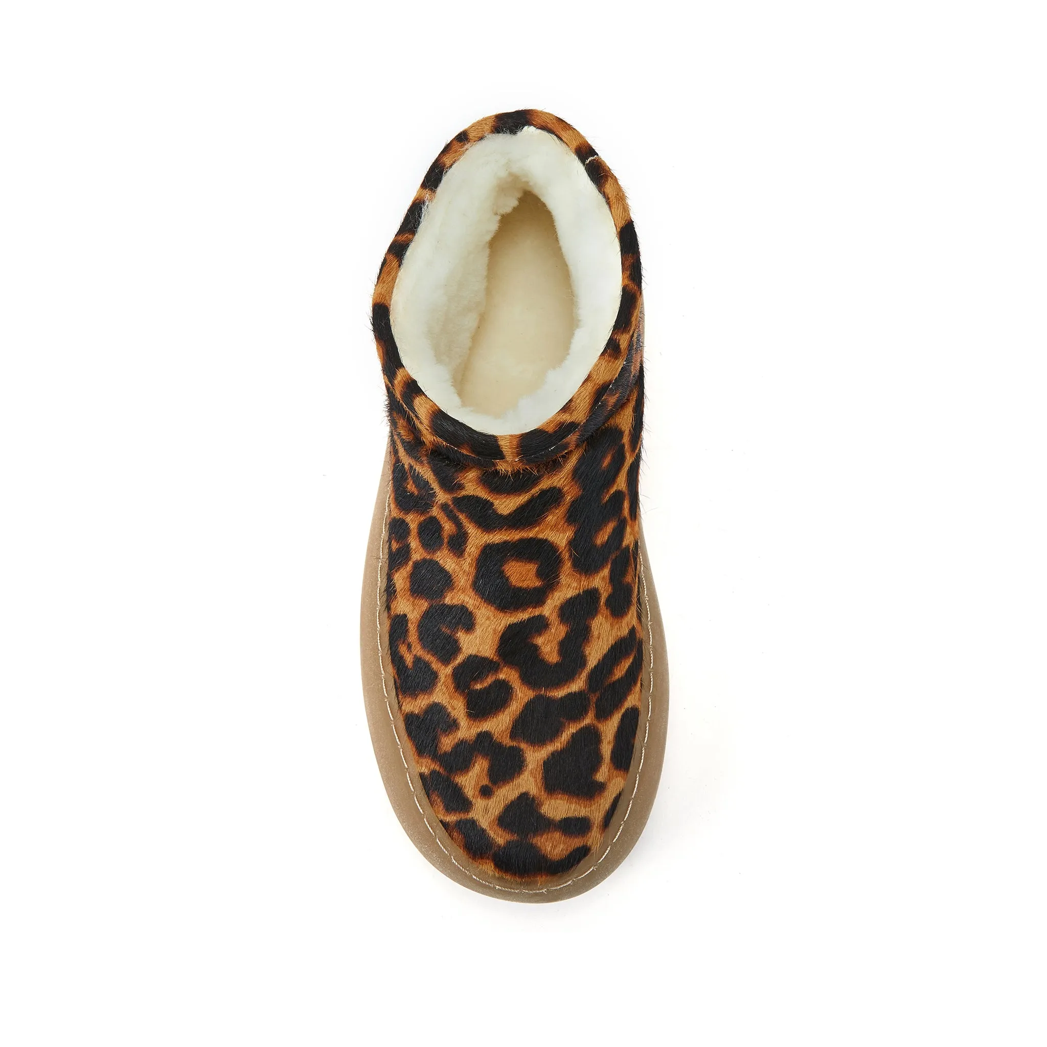 PISCIS LEOPARD