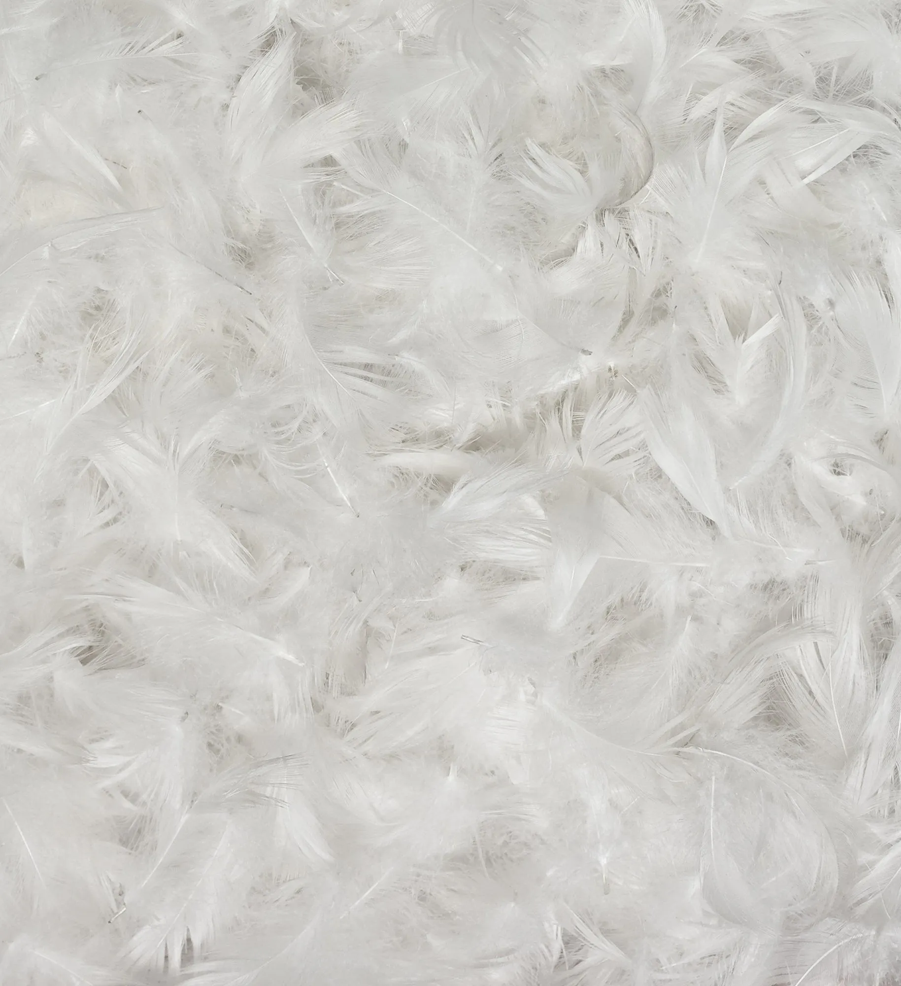Prien Pillow [White]